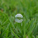 outside the bubble