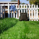 mowing the lawn